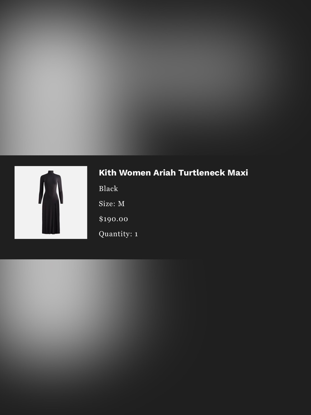 NEW Kith Women Ariah Turtleneck Maxi